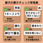 犬が寒がっているとき今すぐできる５つの対策｜室温・床・窓のチェック方法