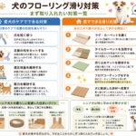 愛犬が滑って心配…｜足腰を守るためにできること＆オススメの床対策
